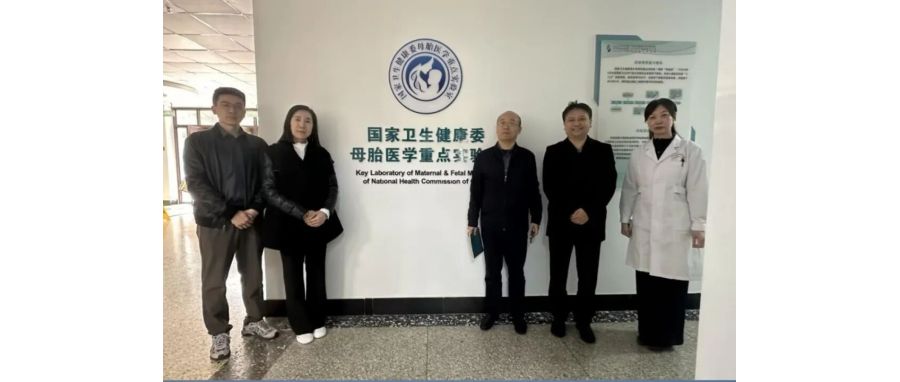 研讨合作｜DCBOX小金库官网团队访问山东省妇幼保健院，共探妇幼领域细胞治疗创新应用